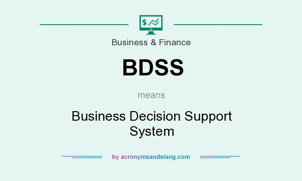 What does BDSS mean? It stands for Business Decision Support System