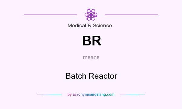 What does BR mean? It stands for Batch Reactor