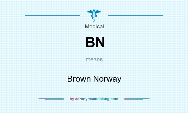 What does BN mean? It stands for Brown Norway