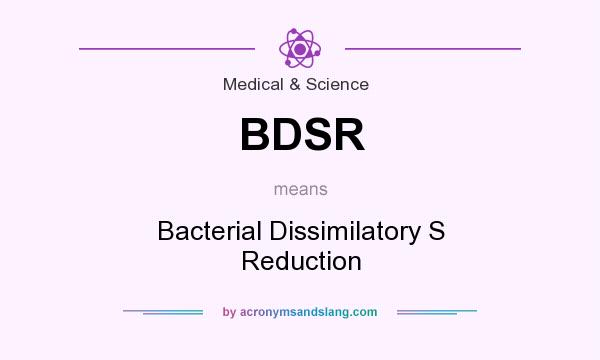 What does BDSR mean? It stands for Bacterial Dissimilatory S Reduction