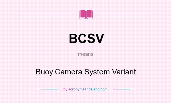 What does BCSV mean? It stands for Buoy Camera System Variant