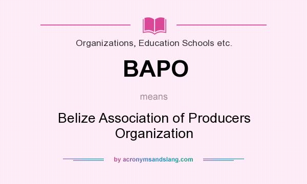 What does BAPO mean? It stands for Belize Association of Producers Organization
