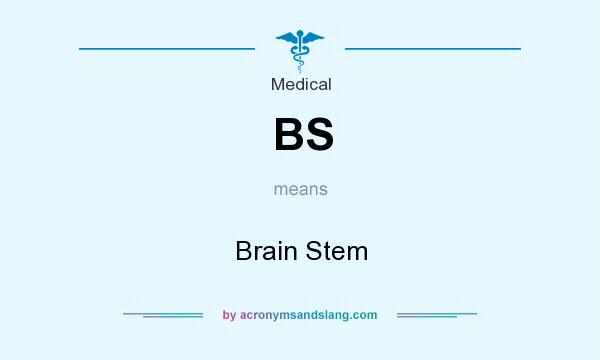 What does BS mean? It stands for Brain Stem