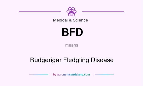 What does BFD mean? It stands for Budgerigar Fledgling Disease