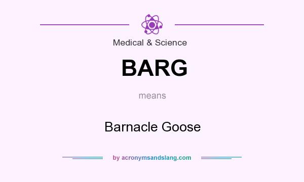 What does BARG mean? It stands for Barnacle Goose
