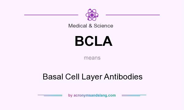 What does BCLA mean? It stands for Basal Cell Layer Antibodies