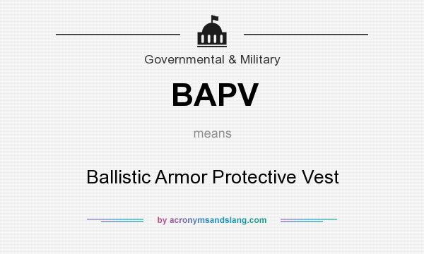What does BAPV mean? It stands for Ballistic Armor Protective Vest