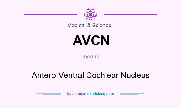 What does AVCN mean? It stands for Antero-Ventral Cochlear Nucleus