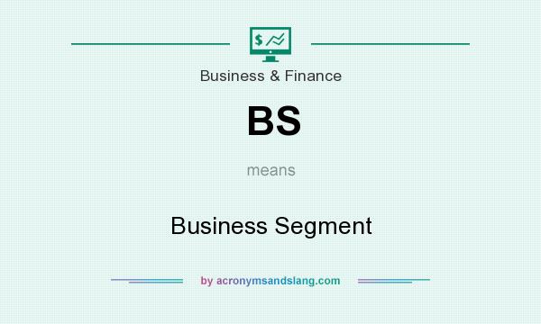 What does BS mean? It stands for Business Segment