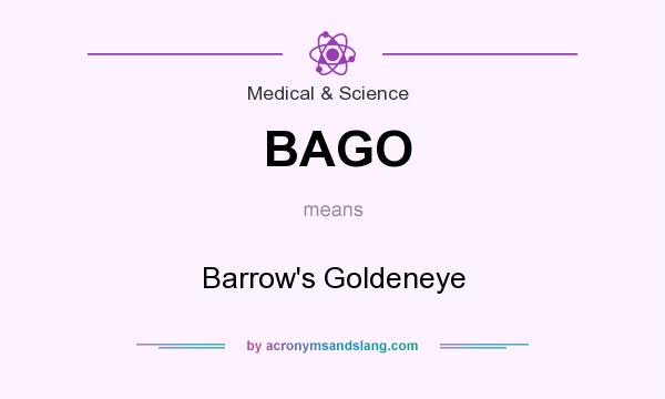 What does BAGO mean? It stands for Barrow`s Goldeneye
