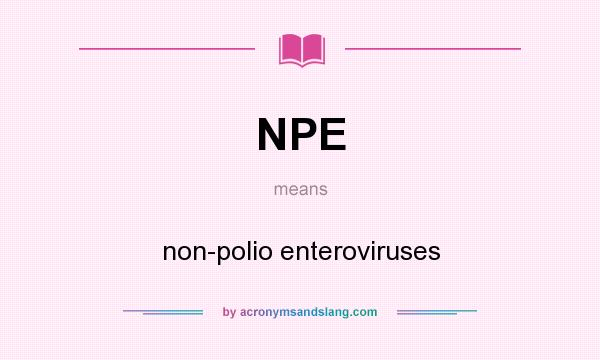 What does NPE mean? It stands for non-polio enteroviruses