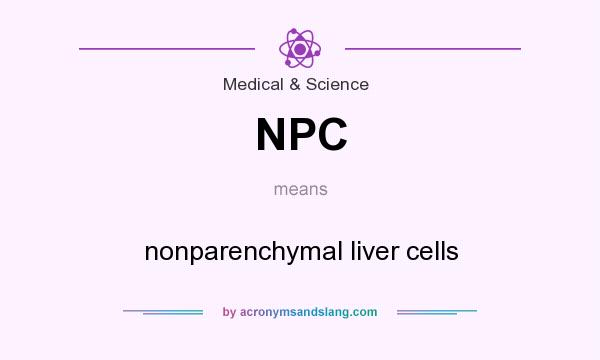 What does NPC mean? It stands for nonparenchymal liver cells