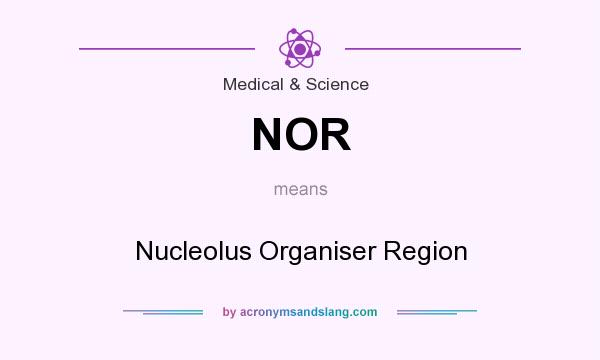 What does NOR mean? It stands for Nucleolus Organiser Region