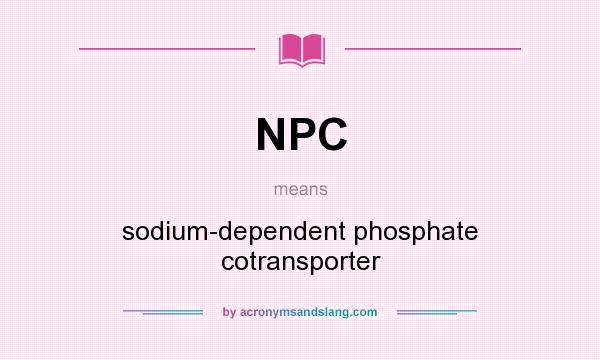 What does NPC mean? It stands for sodium-dependent phosphate cotransporter