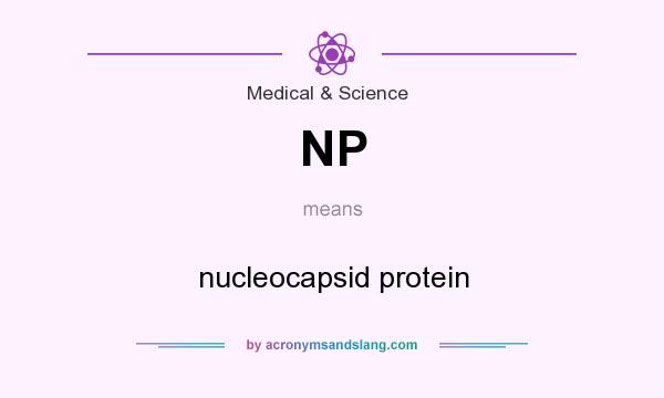 What does NP mean? It stands for nucleocapsid protein