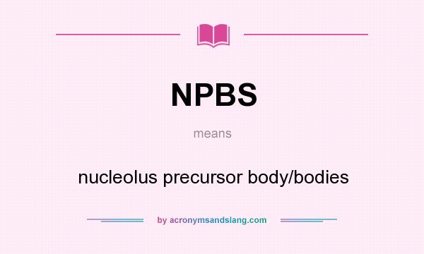 What does NPBS mean? It stands for nucleolus precursor body/bodies
