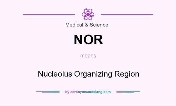 What does NOR mean? It stands for Nucleolus Organizing Region