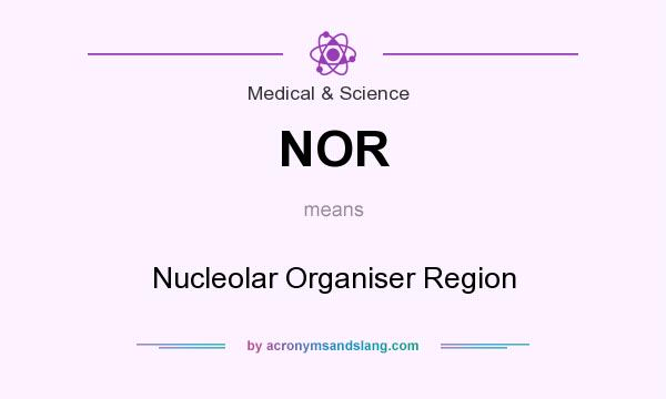 What does NOR mean? It stands for Nucleolar Organiser Region