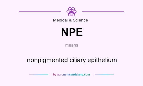What does NPE mean? It stands for nonpigmented ciliary epithelium