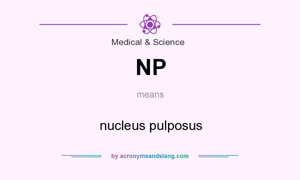 What does NP mean? It stands for nucleus pulposus