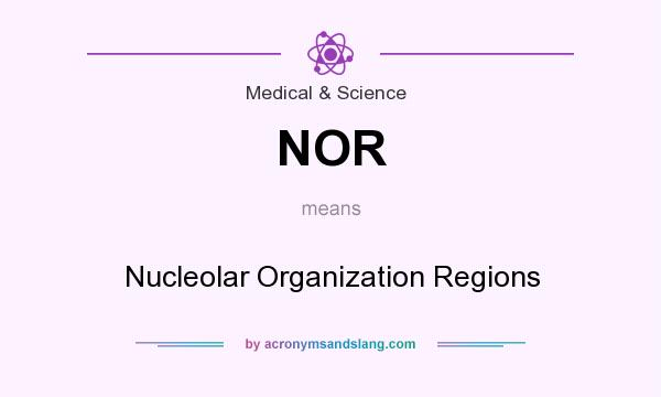 What does NOR mean? It stands for Nucleolar Organization Regions