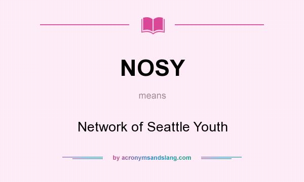 What does NOSY mean? It stands for Network of Seattle Youth