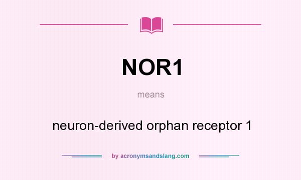 What does NOR1 mean? It stands for neuron-derived orphan receptor 1