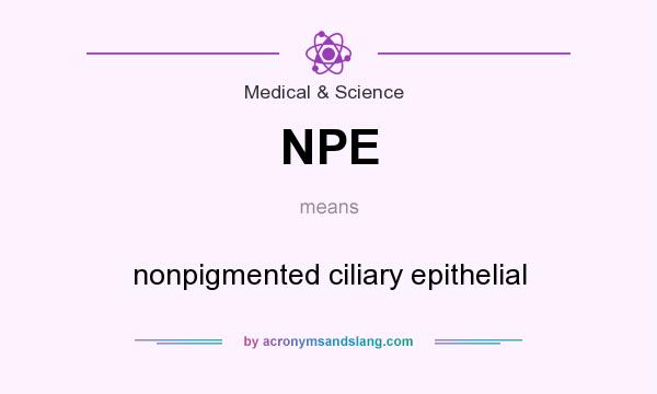 What does NPE mean? It stands for nonpigmented ciliary epithelial