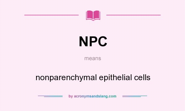 What does NPC mean? It stands for nonparenchymal epithelial cells