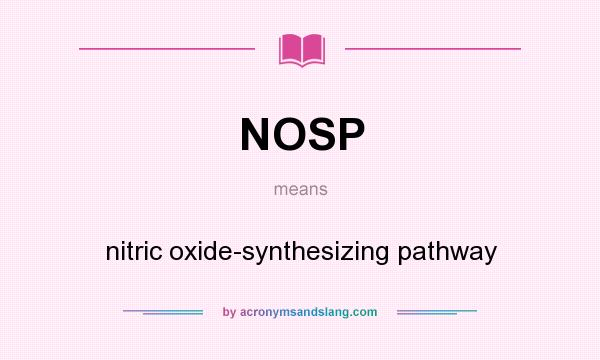 What does NOSP mean? It stands for nitric oxide-synthesizing pathway