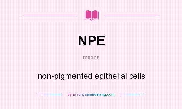 What does NPE mean? It stands for non-pigmented epithelial cells