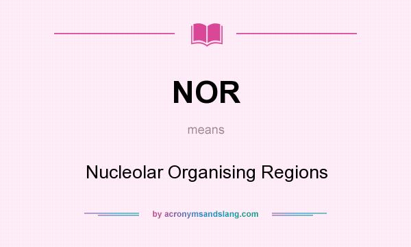 What does NOR mean? It stands for Nucleolar Organising Regions