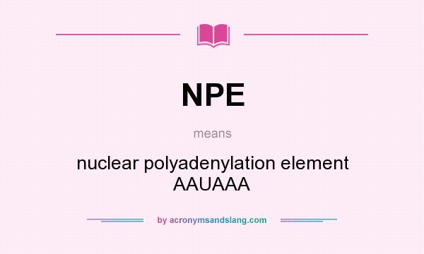What does NPE mean? It stands for nuclear polyadenylation element AAUAAA