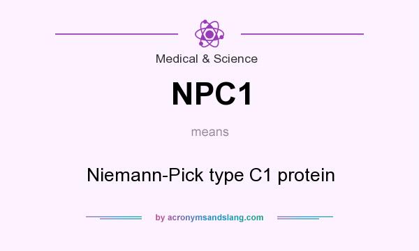 What does NPC1 mean? It stands for Niemann-Pick type C1 protein