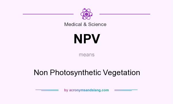 What does NPV mean? It stands for Non Photosynthetic Vegetation