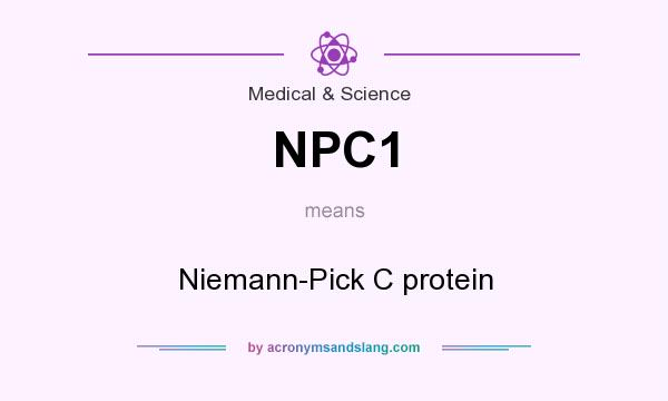 What does NPC1 mean? It stands for Niemann-Pick C protein