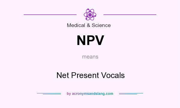 What does NPV mean? It stands for Net Present Vocals