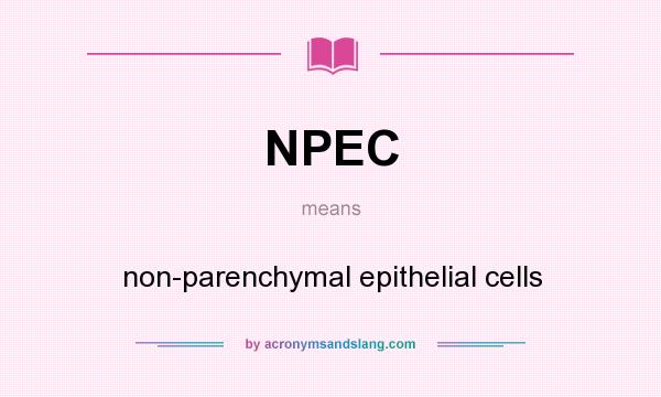 What does NPEC mean? It stands for non-parenchymal epithelial cells