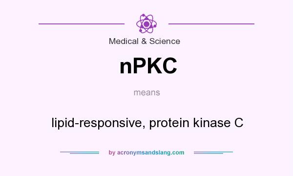 What does nPKC mean? It stands for lipid-responsive, protein kinase C
