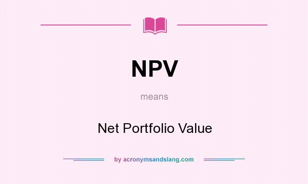 What does NPV mean? It stands for Net Portfolio Value