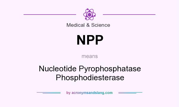 What does NPP mean? It stands for Nucleotide Pyrophosphatase Phosphodiesterase
