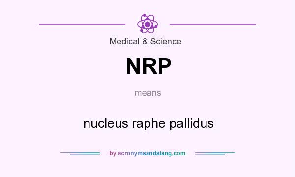What does NRP mean? It stands for nucleus raphe pallidus