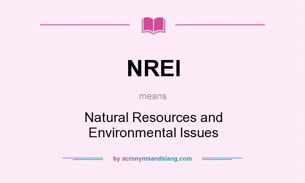 What does NREI mean? It stands for Natural Resources and Environmental Issues