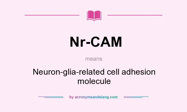 What does Nr-CAM mean? It stands for Neuron-glia-related cell adhesion molecule