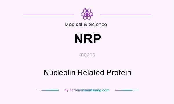 What does NRP mean? It stands for Nucleolin Related Protein