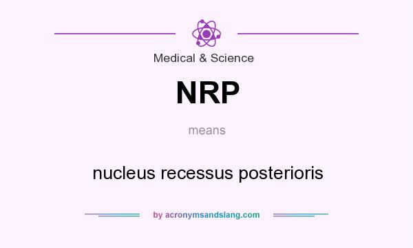 What does NRP mean? It stands for nucleus recessus posterioris