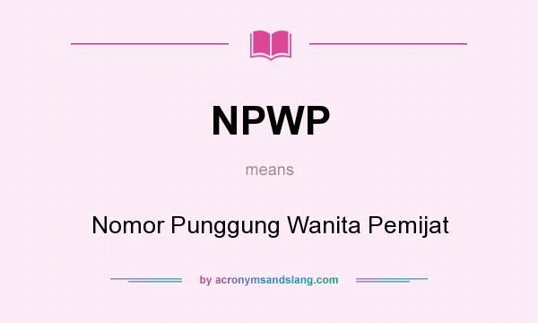 What does NPWP mean? It stands for Nomor Punggung Wanita Pemijat
