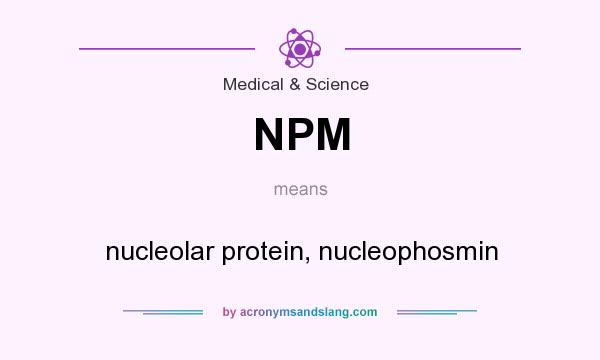 What does NPM mean? It stands for nucleolar protein, nucleophosmin