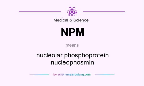 What does NPM mean? It stands for nucleolar phosphoprotein nucleophosmin