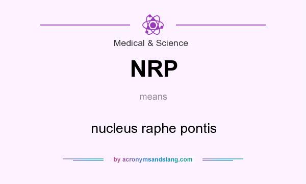 What does NRP mean? It stands for nucleus raphe pontis